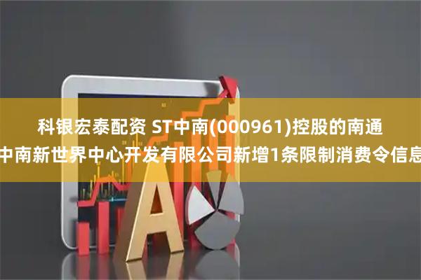 科银宏泰配资 ST中南(000961)控股的南通中南新世界中心开发有限公司新增1条限制消费令信息
