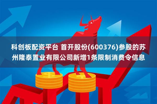 科创板配资平台 首开股份(600376)参股的苏州隆泰置业有限公司新增1条限制消费令信息