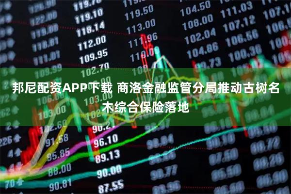 邦尼配资APP下载 商洛金融监管分局推动古树名木综合保险落地
