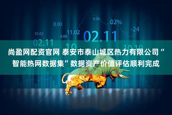 尚盈网配资官网 泰安市泰山城区热力有限公司“智能热网数据集”数据资产价值评估顺利完成