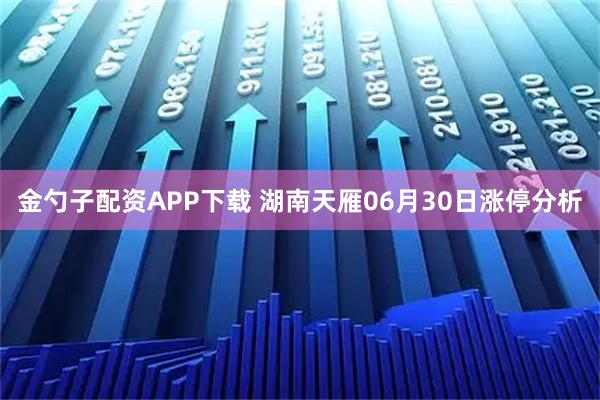 金勺子配资APP下载 湖南天雁06月30日涨停分析