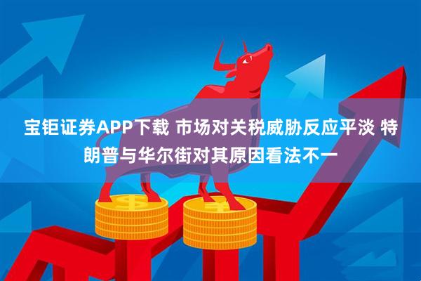 宝钜证券APP下载 市场对关税威胁反应平淡 特朗普与华尔街对其原因看法不一