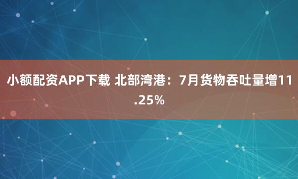 小额配资APP下载 北部湾港：7月货物吞吐量增11.25%