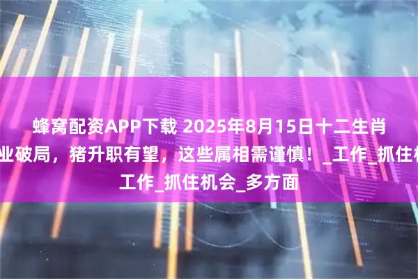 蜂窝配资APP下载 2025年8月15日十二生肖运势：狗事业破局，猪升职有望，这些属相需谨慎！_工作_抓住机会_多方面